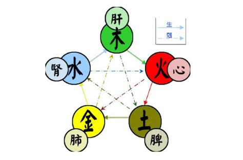 木火土金水 五行|五行（对万事万物的取象比类）